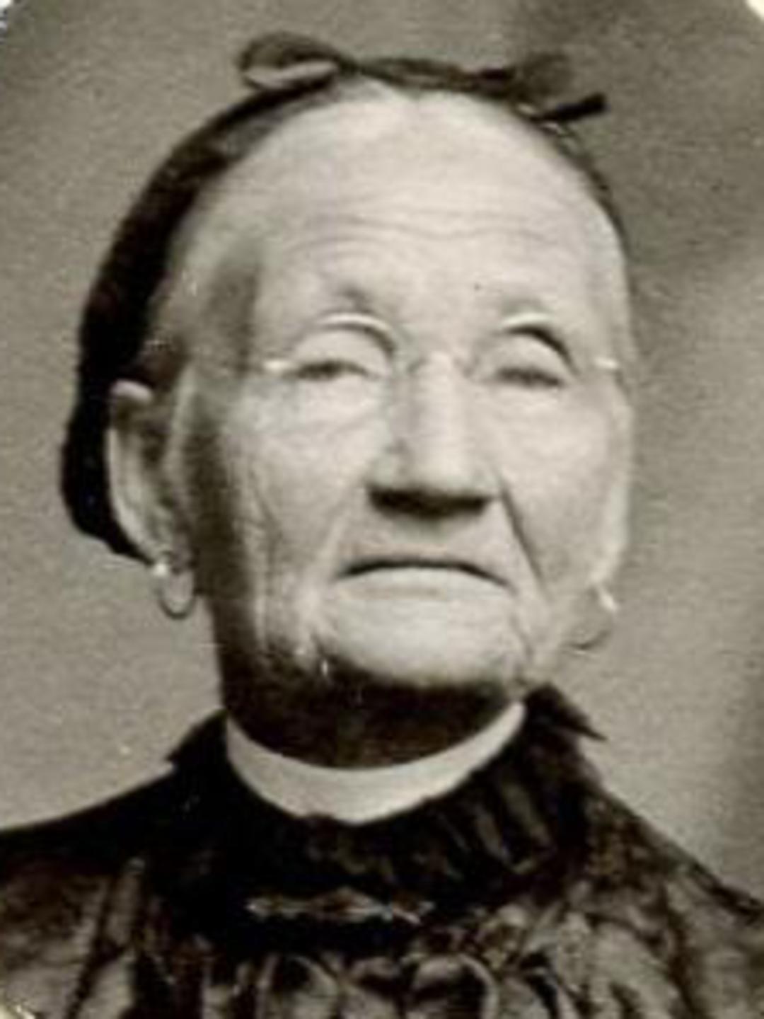 Mary Helen Brink (1833 - 1916) Profile